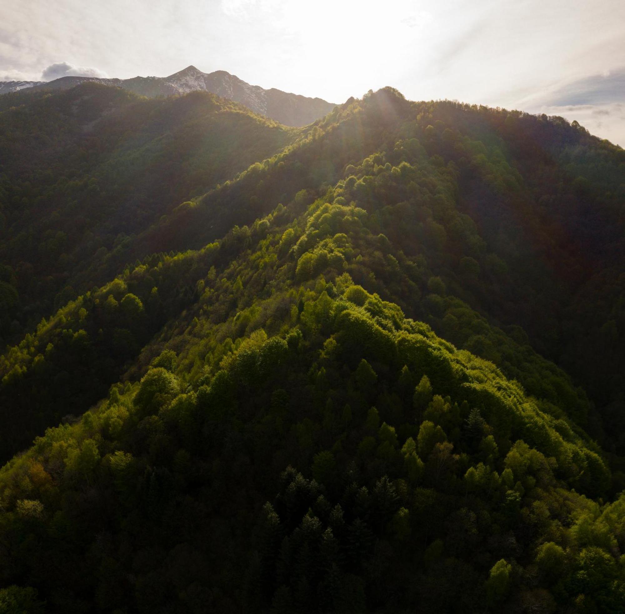 Iduevagamondi - Ospitalita Rurale Famigliare Di Montagna Acomodação com café da manhã Chiusa di Pesio Exterior foto